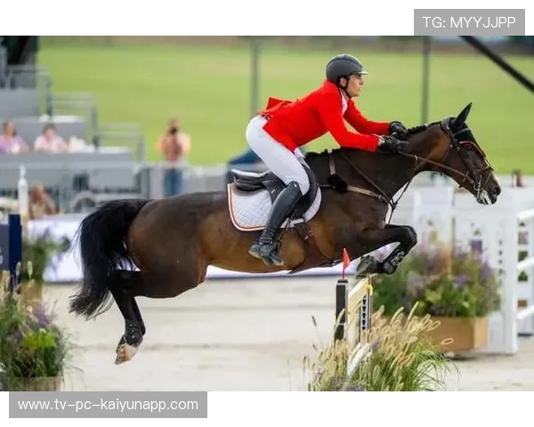 比利时马术队在2024年国际马术联合会障碍赛世界巡回赛中获得团体第四名，展现出色表现。